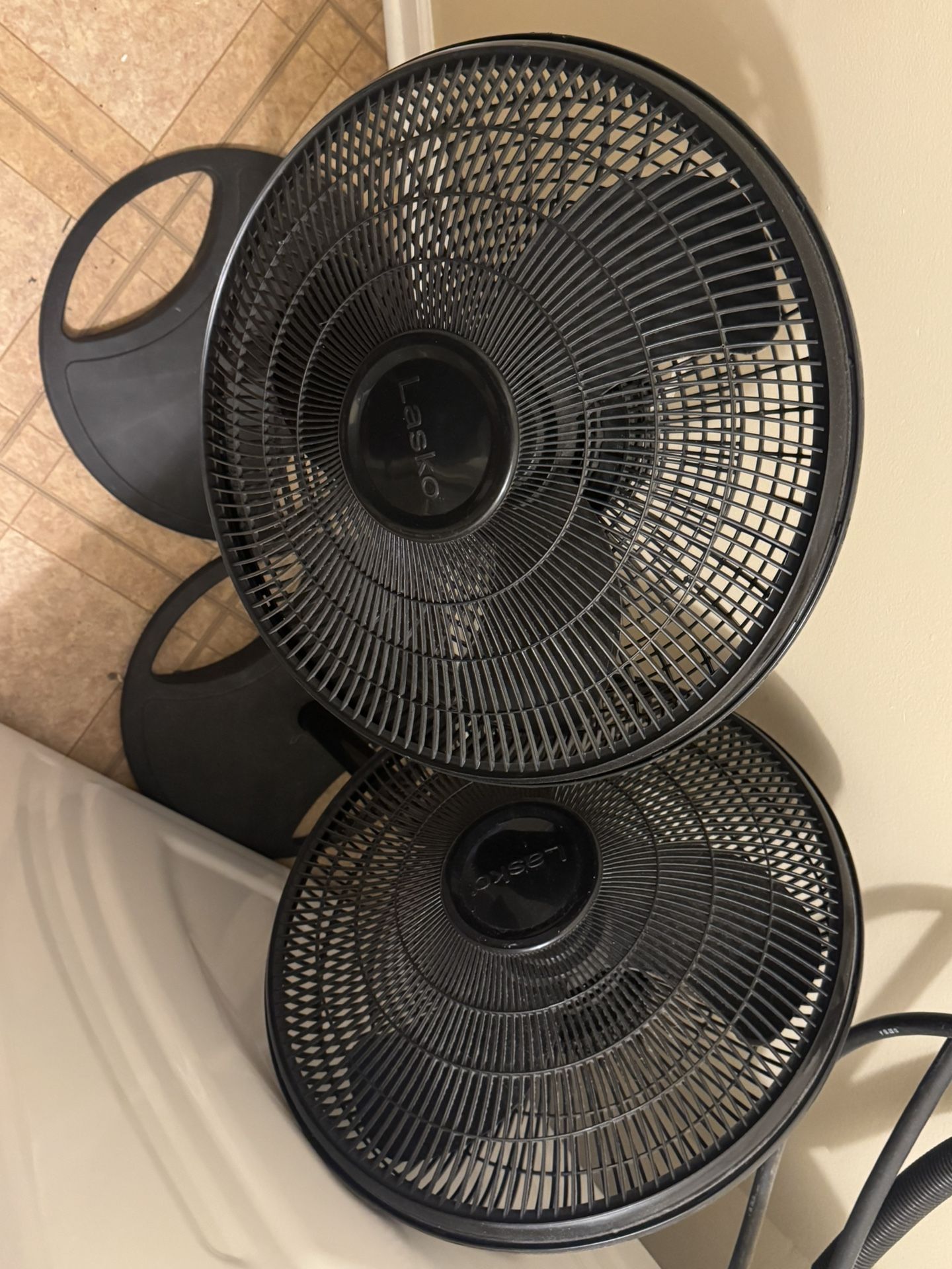 Fan