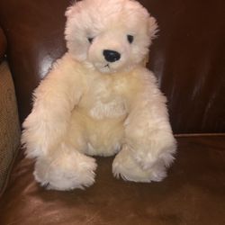 Aurora, plush bear