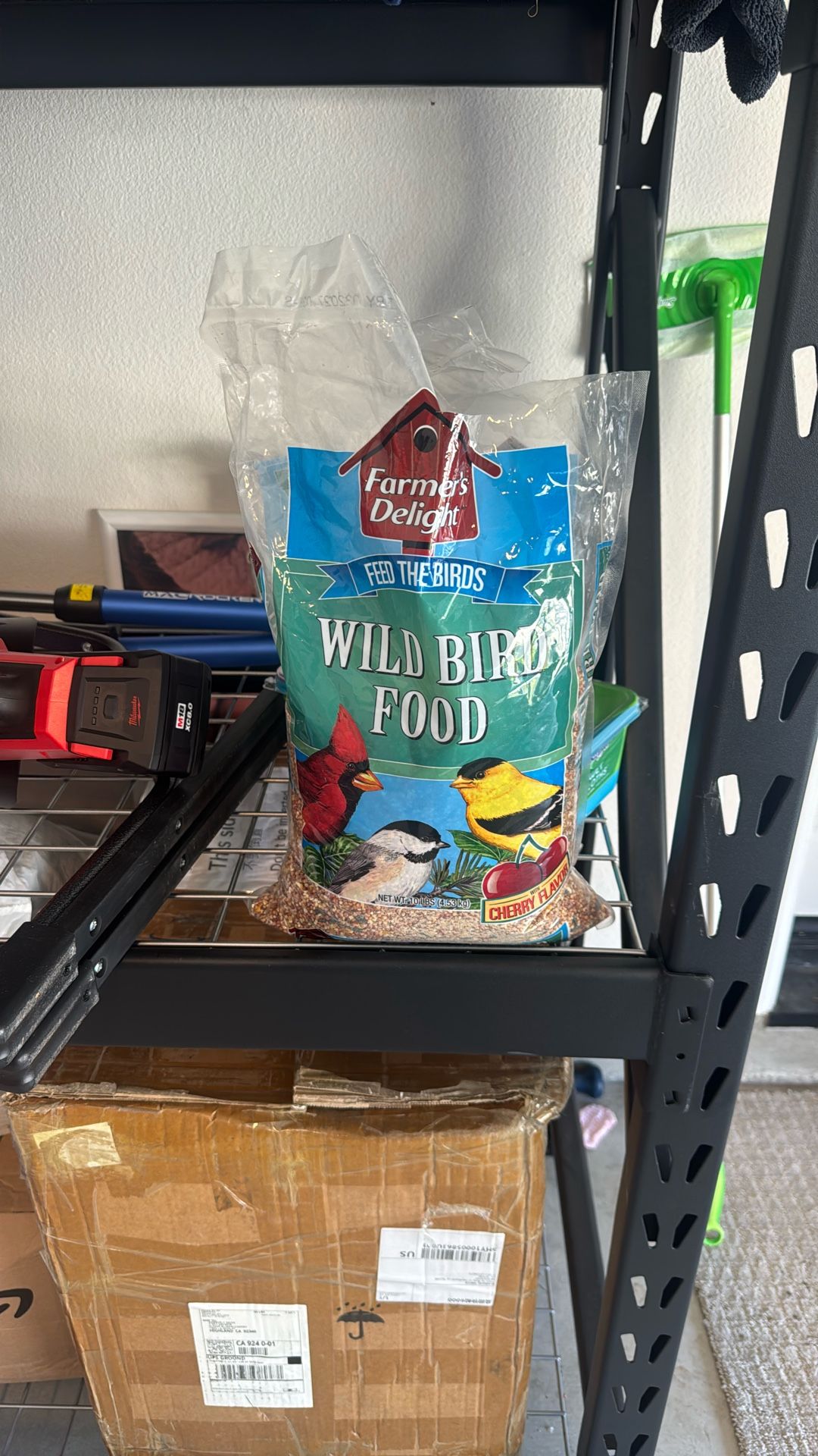 Free Bird Food