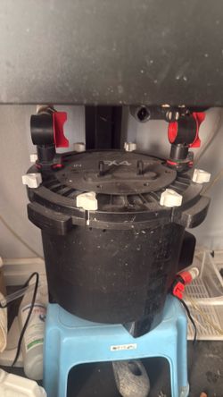 90 Gallon Tank with Fluval FX4 filter