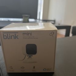 Blink Mini