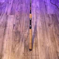 Brand New Never Used St Croix Triumph Rod
