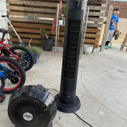 Fans 
