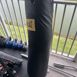 100 Lbs Punching Bag