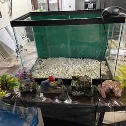 10 Gallon Fish Tank 
