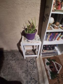 Plant stand with plant