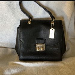 Cute Coach Purse 