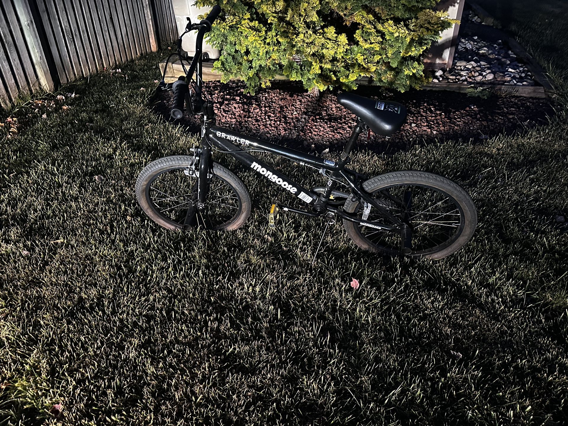 Mongoose BMX Bike!
