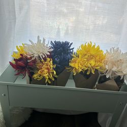 Planter/Flowers 