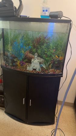 Fish tank and stand
