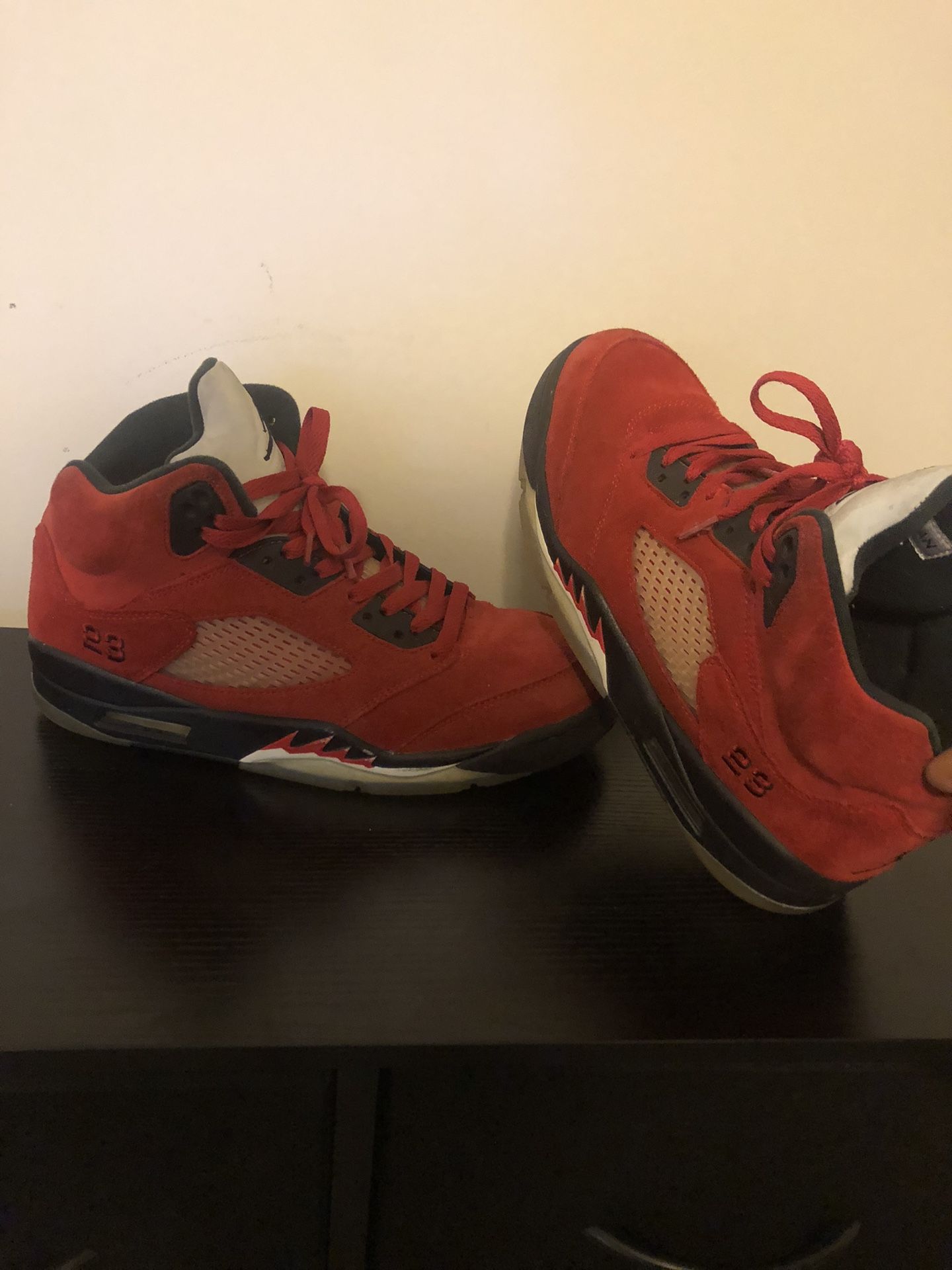 Jordan Retro 5 Raging Bull