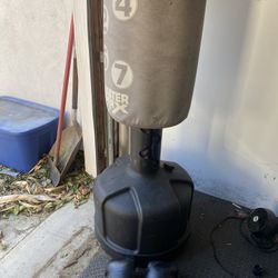 Century Freestanding Bag With Boxing Gloves 