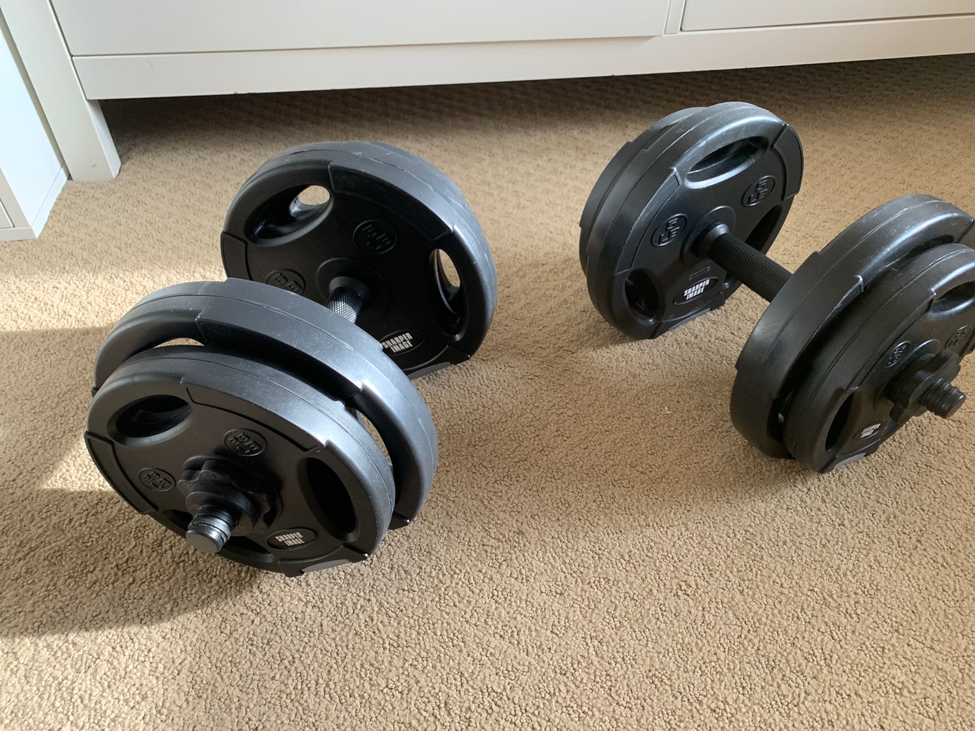 Dumbbell weights