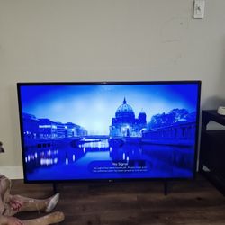 LG 43in TV