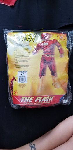 Flash & Lion costume