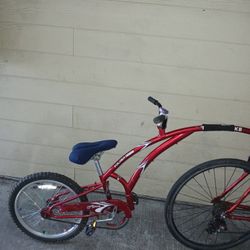 Tag A Long Bike 
