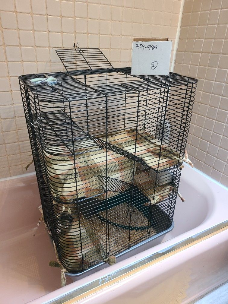 Free Rat Cage