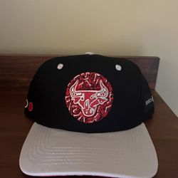 Bulls Hat