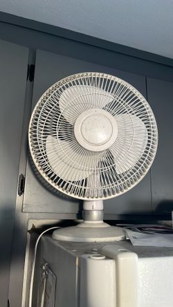 Fan