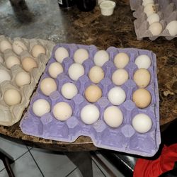 Huevitos Que Dan Vida. Best Eggs Around