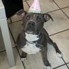 Hector