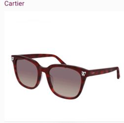 Cartier Tortoise