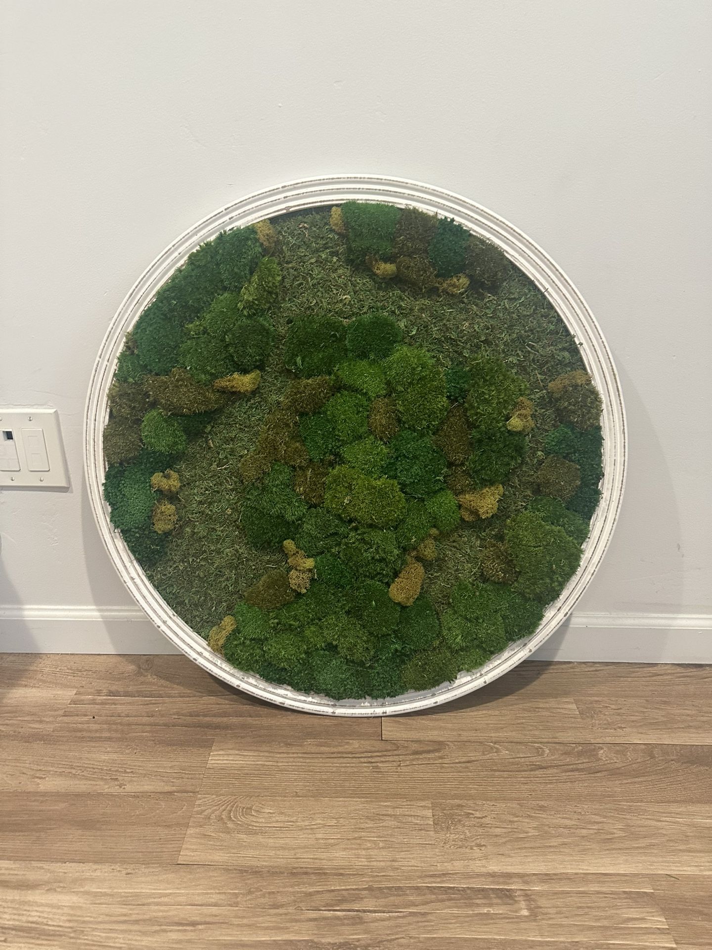 Moss Wall Art 30” $250 OBO