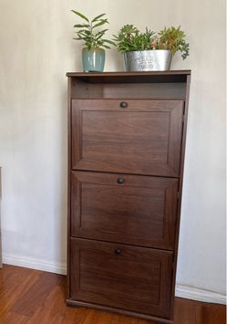 Shoe Organizing Cabinet with 3 Compartments
