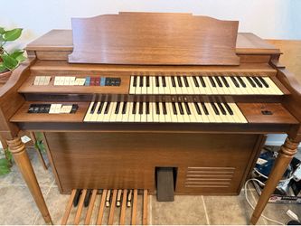 Organ