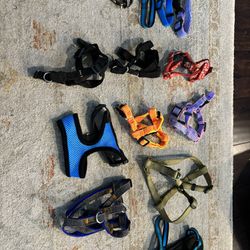 Lot Of 13 Various Types And Sizes  Dog Harness’ And Collars