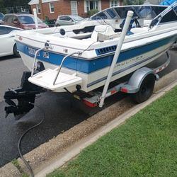 Bayliner 