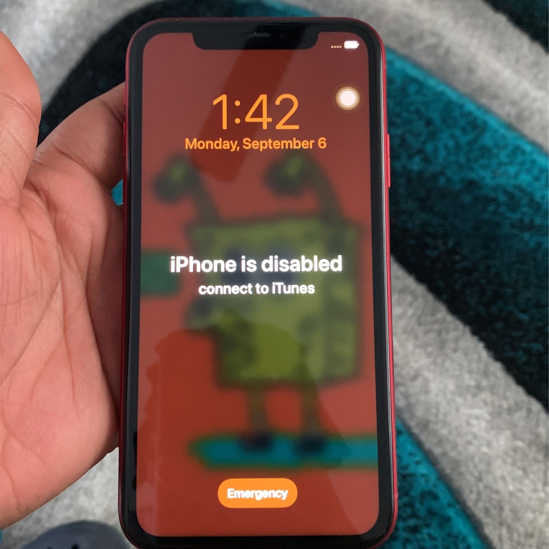 iPhone XR