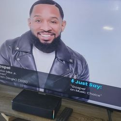 44inch flat screen