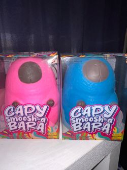 CapyBara squishy