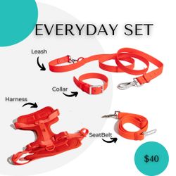 Dog Harness , Collar, Leash, & Seatbelt 