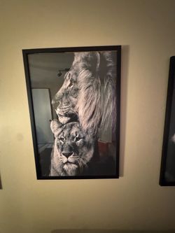 3 lion prints framed