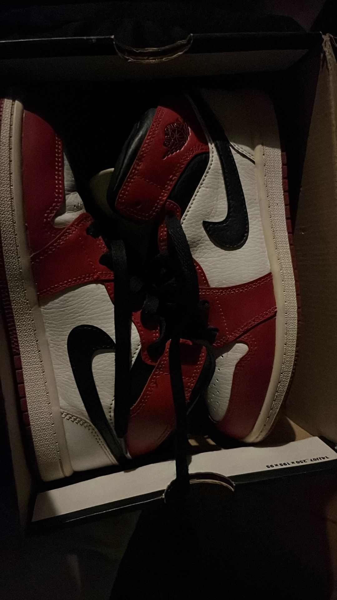 Jordan 1 Mids