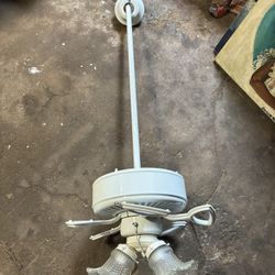 Ceiling Fan 