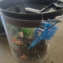 Aquarium Fish Tank