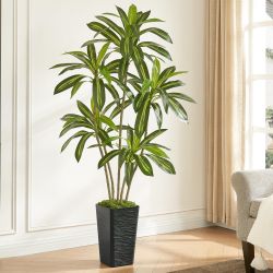 NEW - 6FT Artificial Dracaena Tree with Black Planter - Real Touch Fake Plant for Home & Office Decor, Faux Yucca Indoor Floor Tree