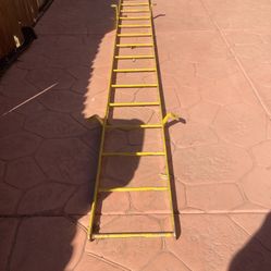 Ladder Heavy Duty 