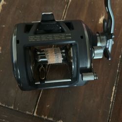 Penn Squall II 30LWLH