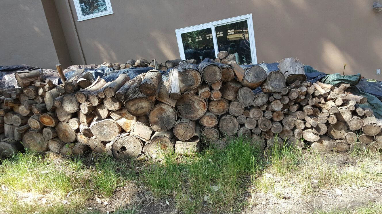 Free firewood seasoned