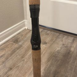 Daiwa Tatula Jig Casting Rod