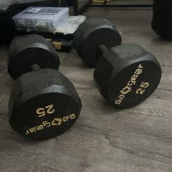 25 Lb Weights 