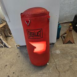 Everlast Heavy Punching Bag