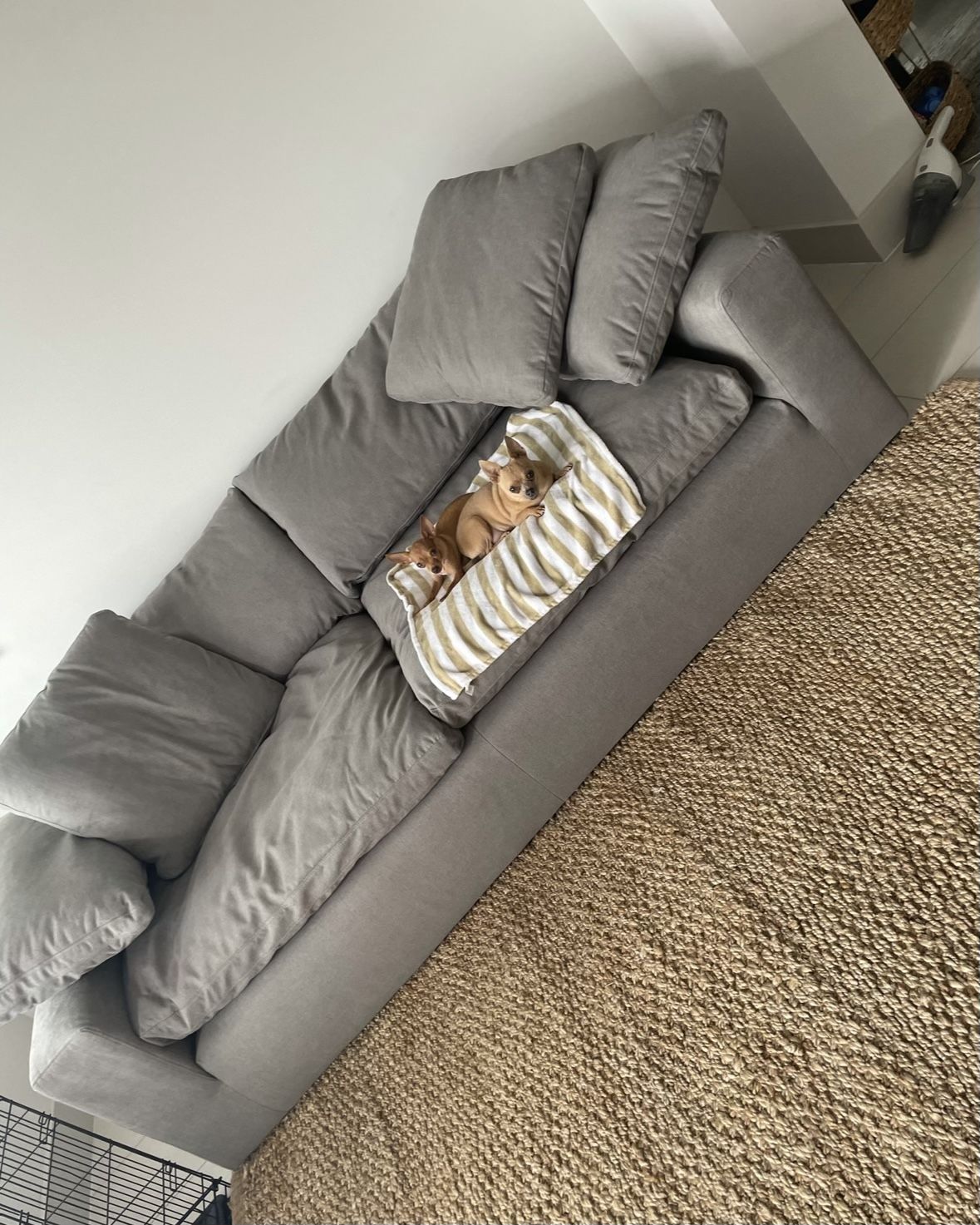 Grey Couch