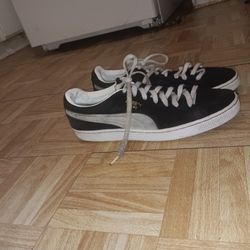 Pumas