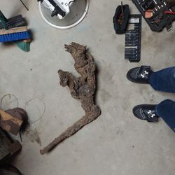 Petrified Pieces Of Wood