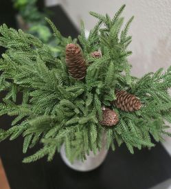 Artificial Christmas Norfolk Pine Stems Branches for Vases